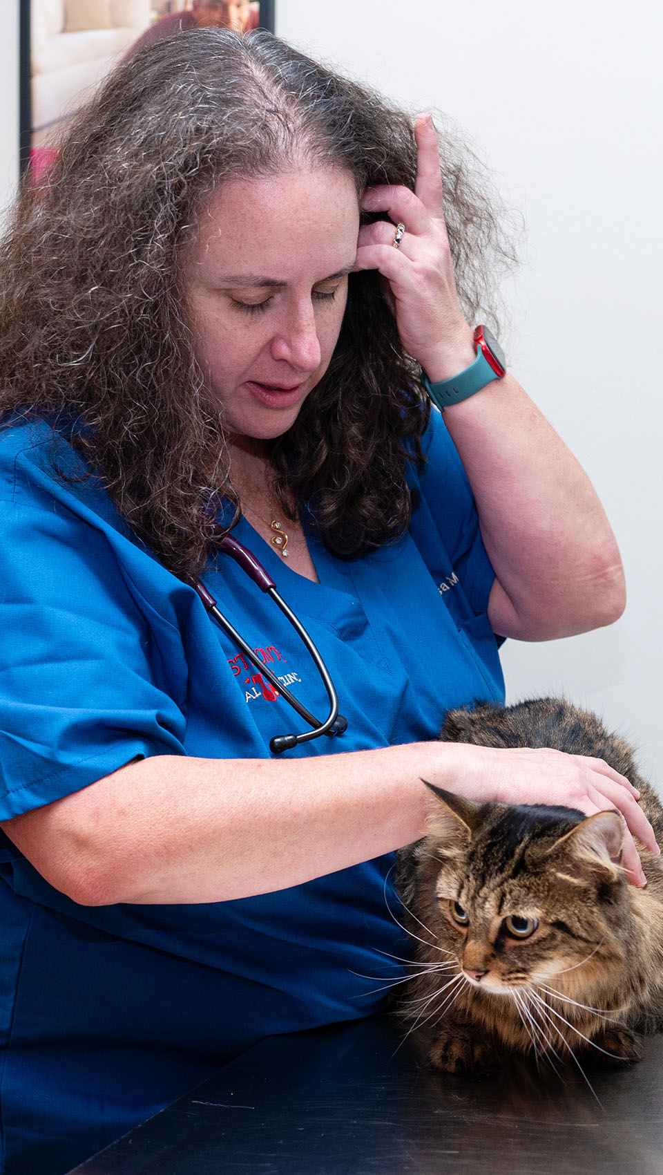 Dr. Matagrano checking cat's skin