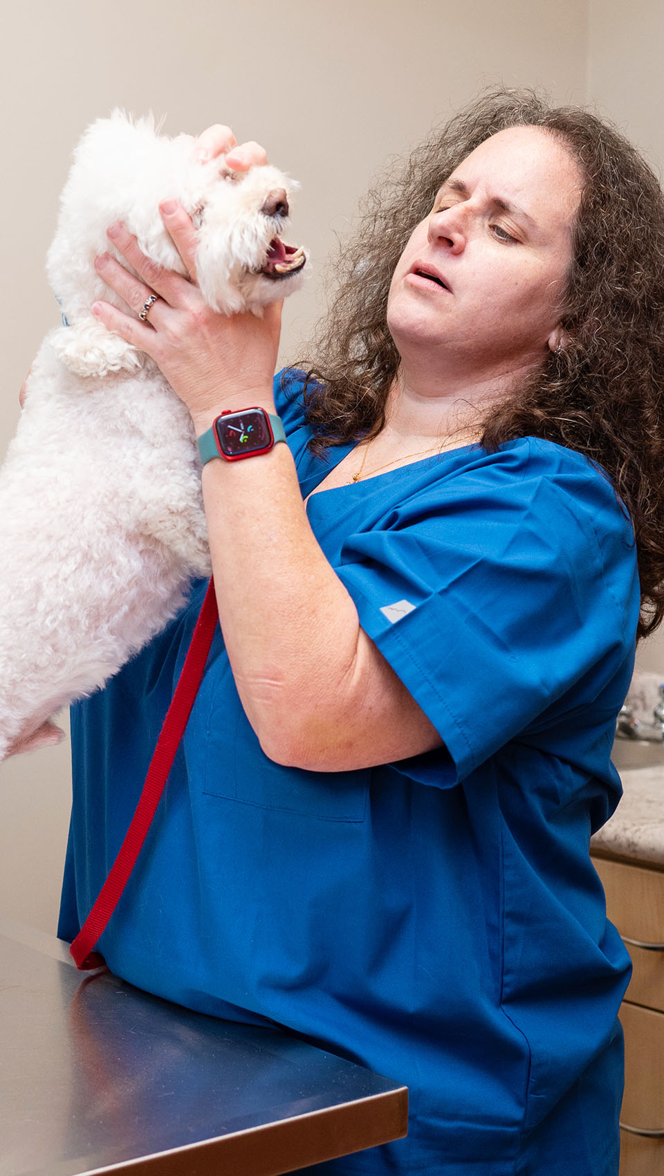 Dr. Matagrano checking white dog