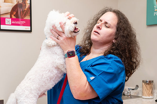 dr lisa checking white dog skin