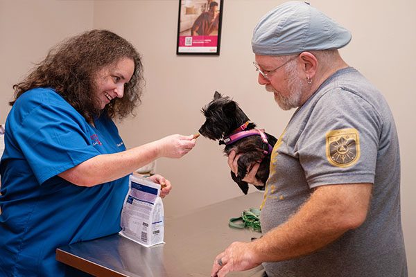 dr lisa giving a treat to a dog