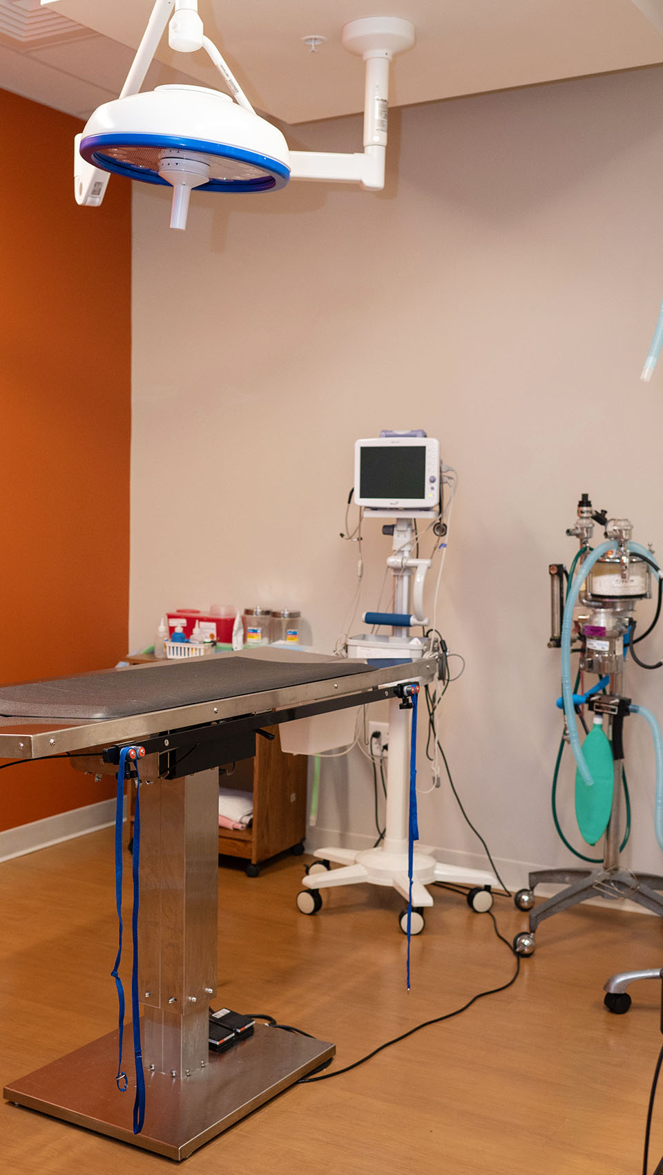 Westmonte Animal Clinic surgical suite