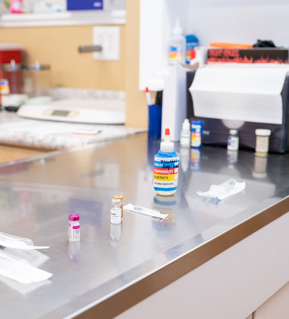 vaccine prep at Westmonte Animal Clinic