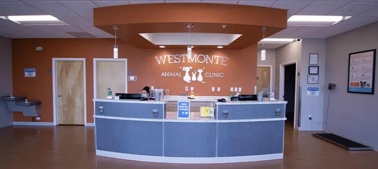Westmonte Animal Clinic reception
