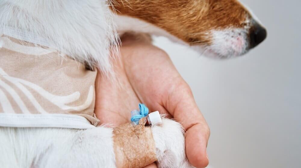 same day appointments