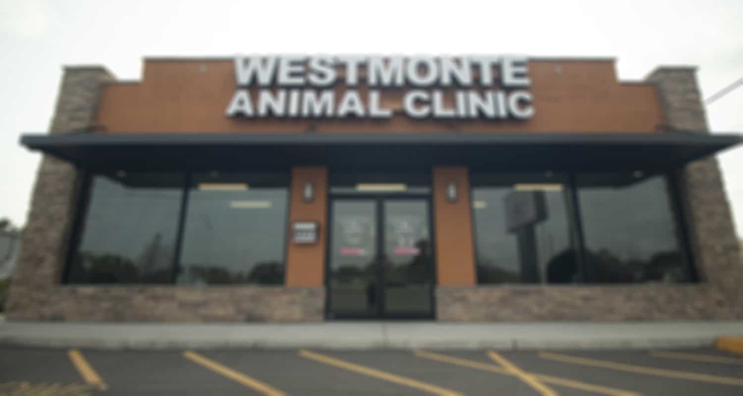 https://westmonteac.com/wp-content/uploads/2020/04/westmonte-animal-clinic-building.jpg