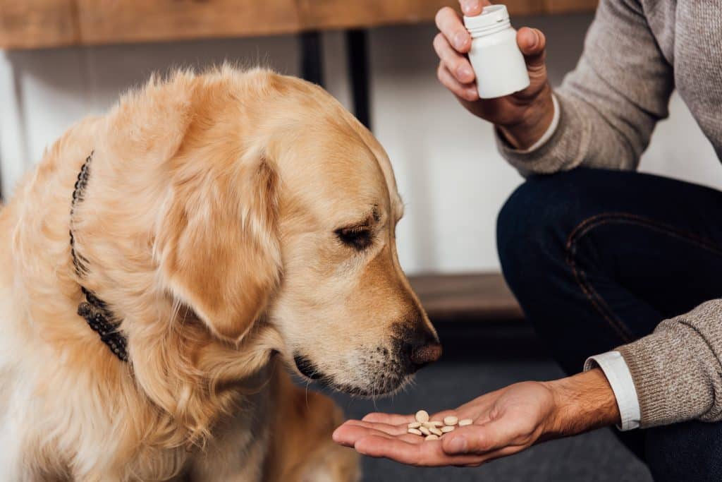 Cropped View Of Man Giving Vitamins To Golden Retriever At Home