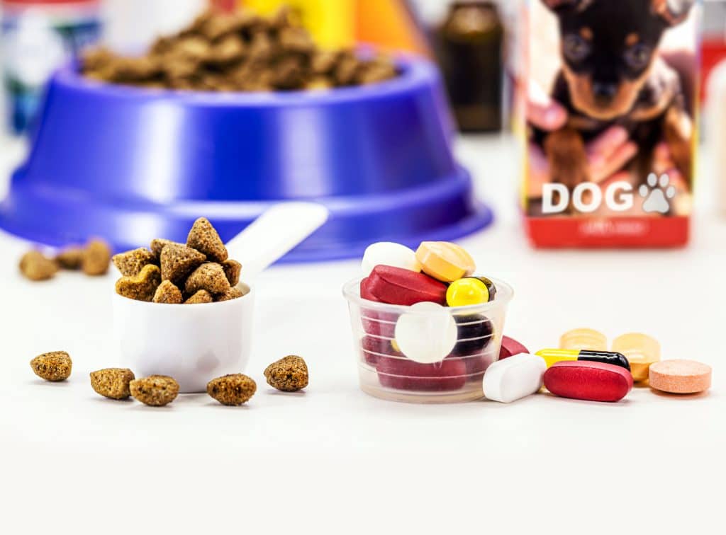 dog pills next to dish of dog food