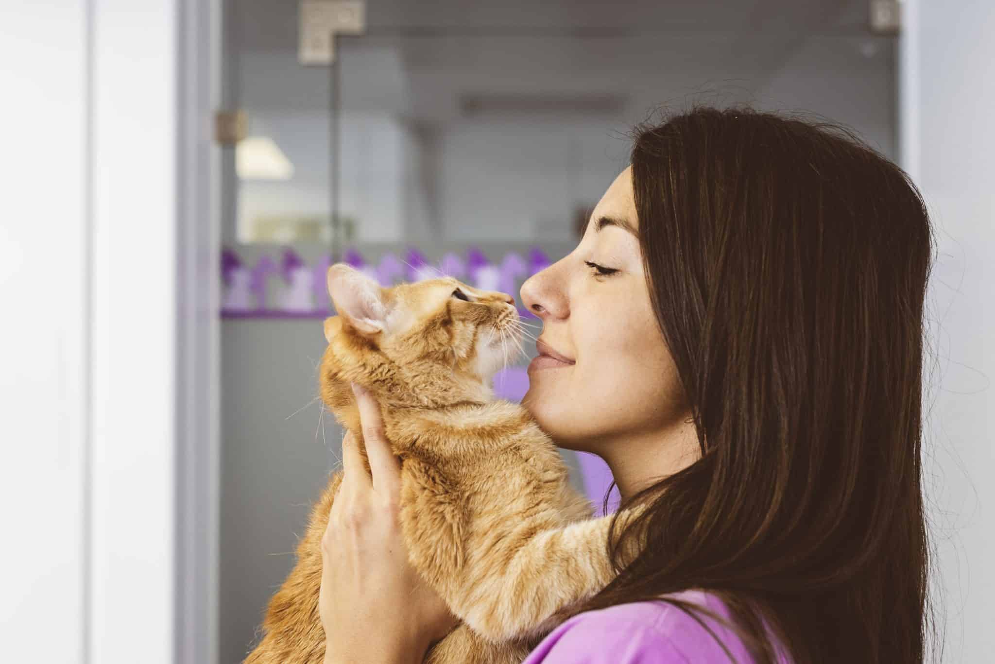 Maitland veterinarian holding a cat