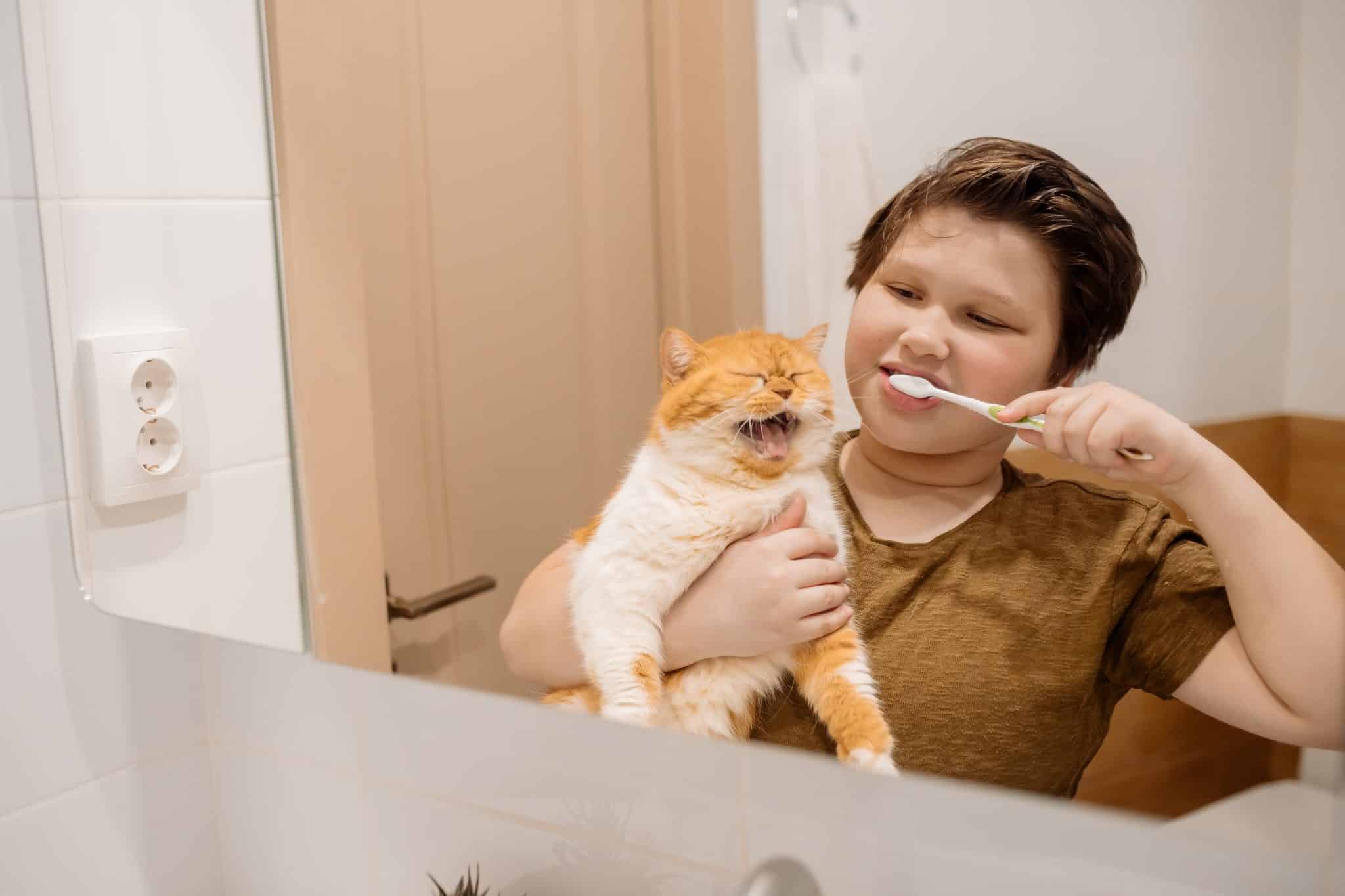 child brushing his teeth while holding their pet cat