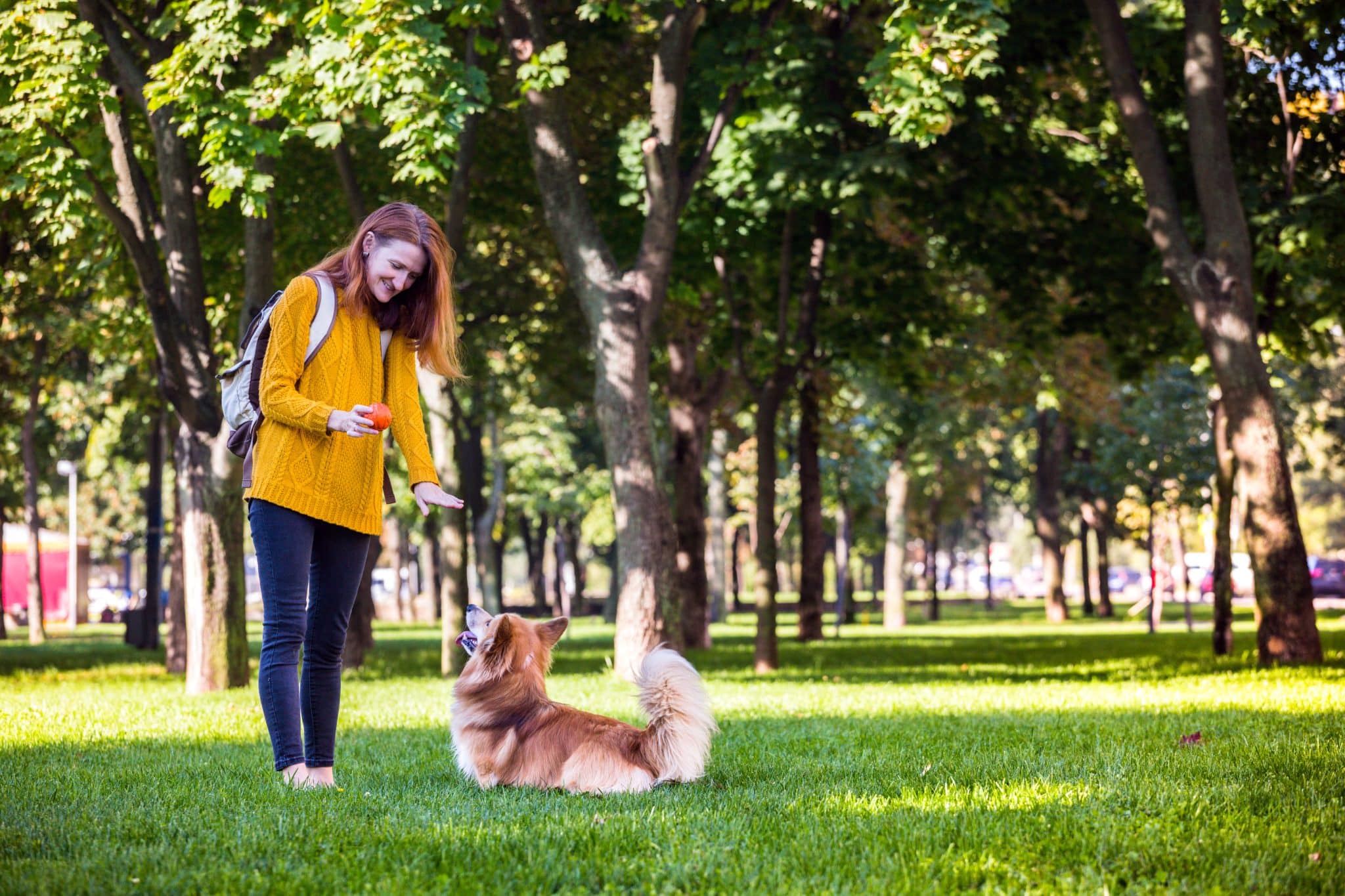 A woman is playing with her dog in a public park
