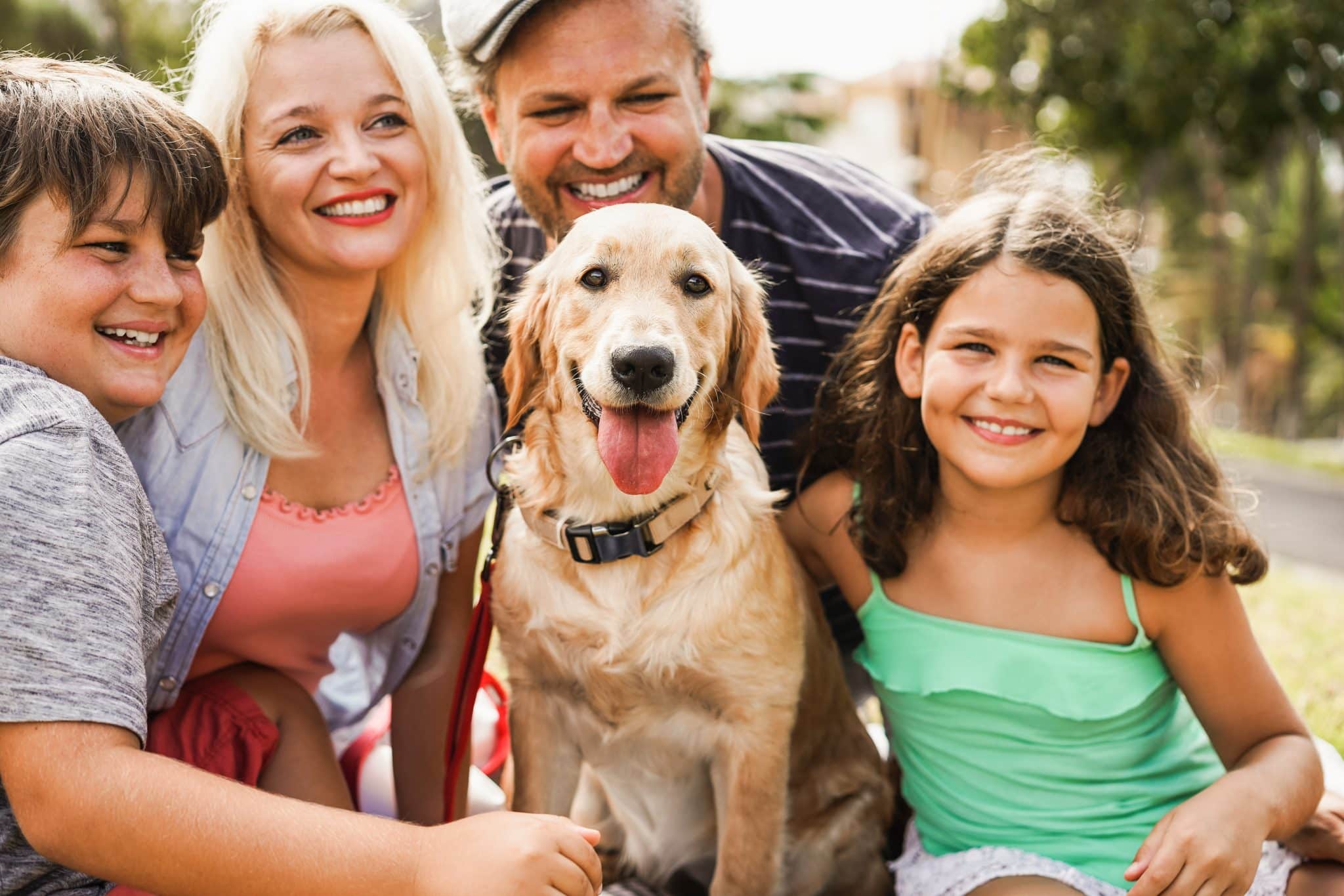 Happy Family Having Fun With Children And Their Dog Outdoor Summer Time Main Focus On Dog Face