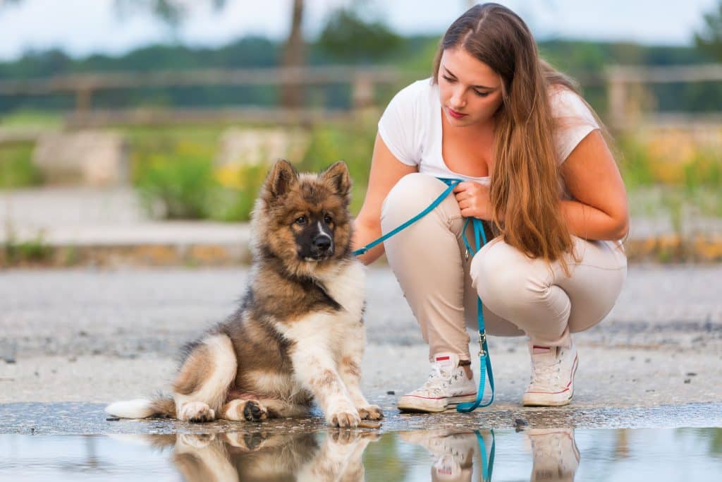 Woman with her leashed puppy having patience with his distractions
